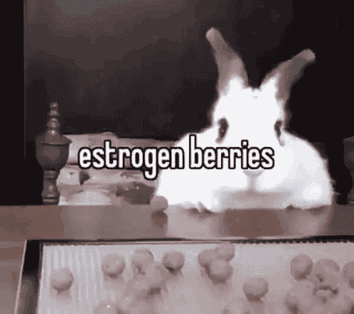 Estrogen Berries