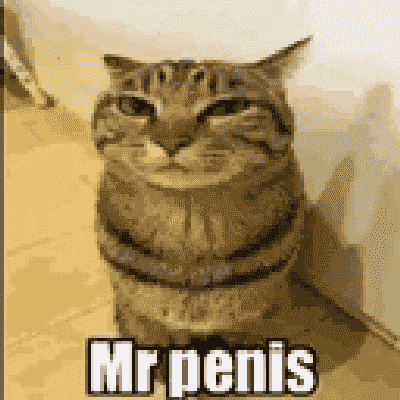 mrpenis obama