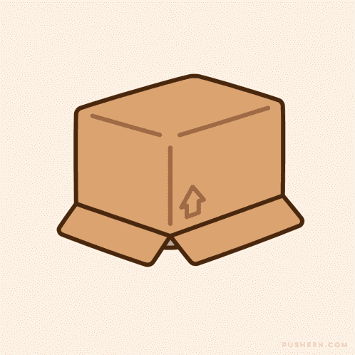 Pusheen Box