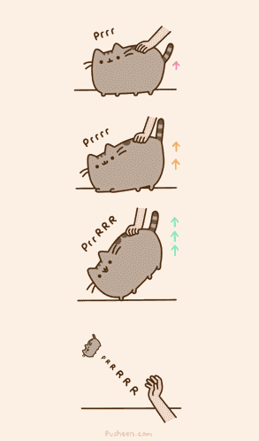 Pusheen Pusheen Cat